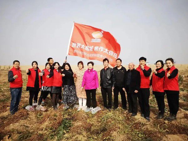 11月12日，眾人翹首以盼的太極莊山藥采挖活動在太極莊公司的溫縣·富硒鐵棍山藥標準化種植基地拉開帷幕