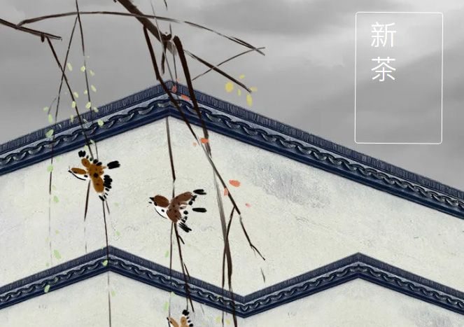 太極莊新菊上市！白菊婉清顏，芳香滿庭院